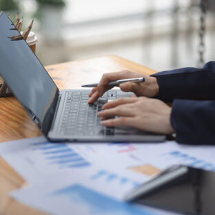 Consulting / コンサルティング事業